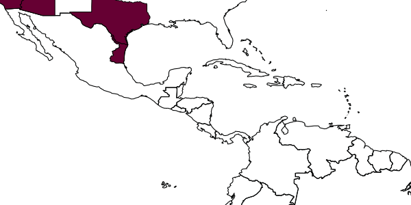 map of Eretmocerus staufferi     Rose & Zolnerowich, 1997